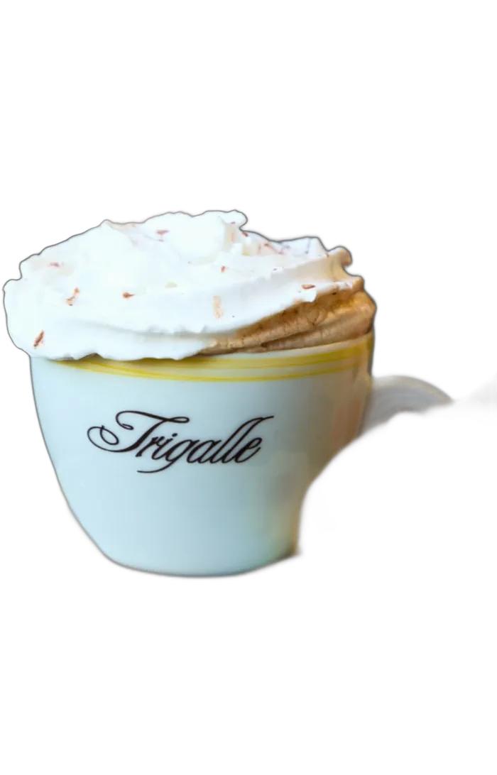 Capuccino na xícara da Trigalle
